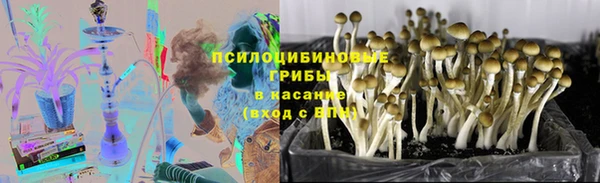 соль курить ск Нея